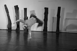 coreografia-d-arte-Daniele-Ninarello-Carlini-Ph-Alvise-Crovato